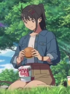 Big Mac to, Susume